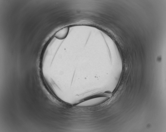 X0000116261422201001110944