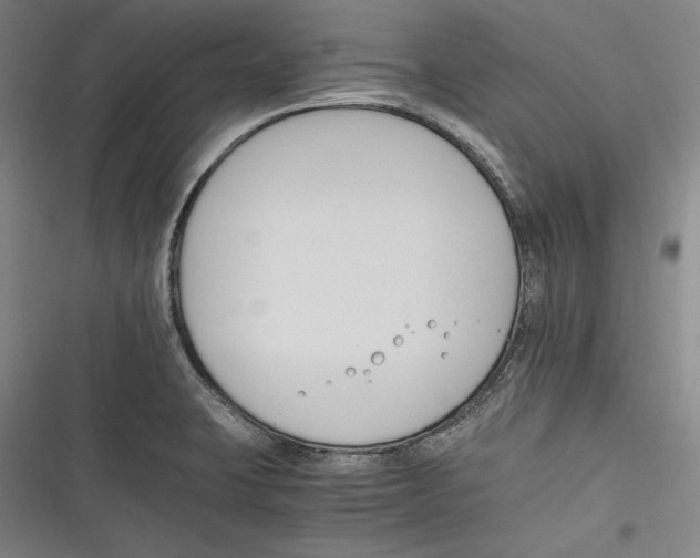 X0000116261423201001110944