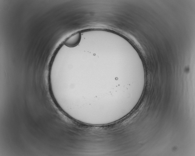 X0000116261424201001110944