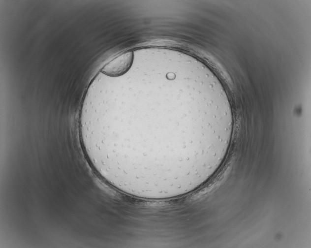 X0000116261425201001110944