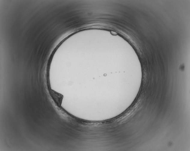 X0000116261426201001110944