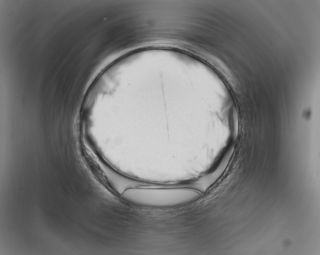 X0000116261428201001110944