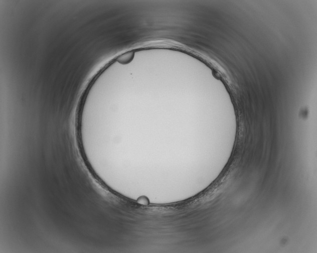 X0000116261430201001110944