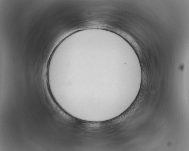 X0000116261431201001110944