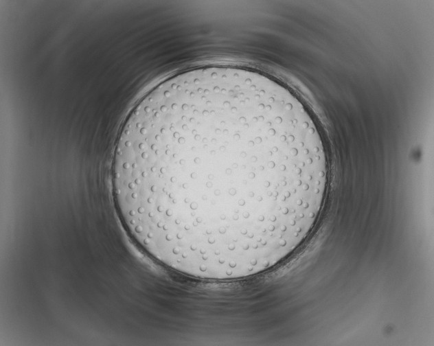 X0000116261433201001110944