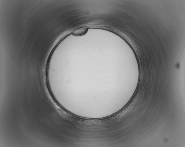 X0000116261434201001110944