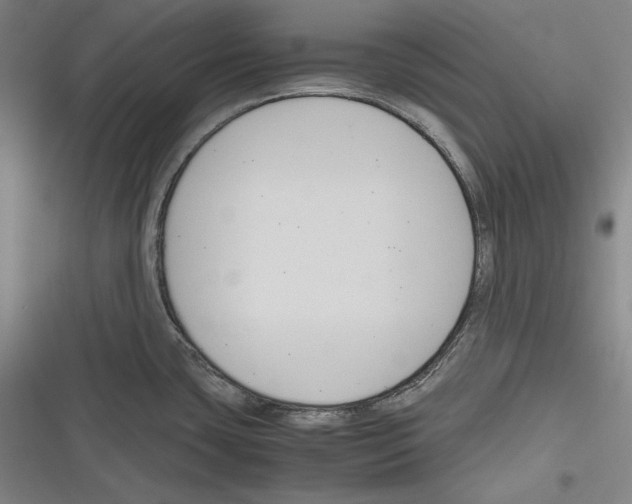 X0000116261435201001110944