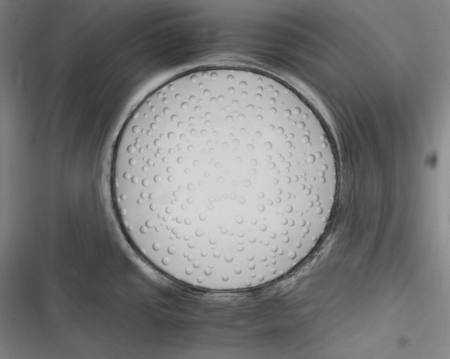 X0000116261437201001110944