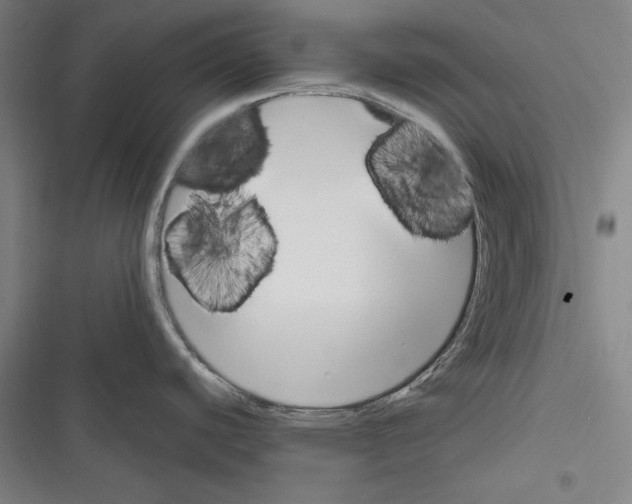 X0000116261440201001110944
