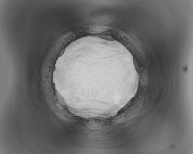 X0000116261441201001110943