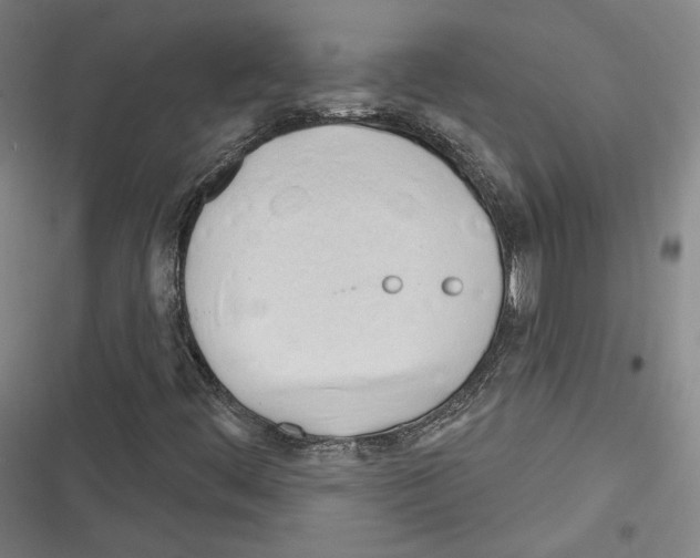 X0000116261444201001110943