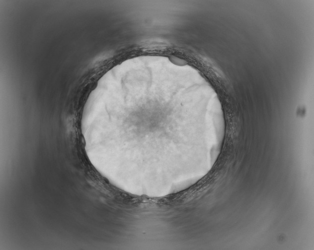 X0000116261445201001110943