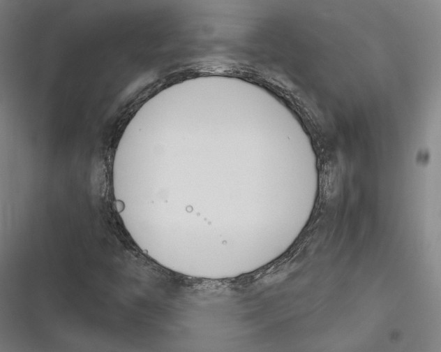X0000116261446201001110943