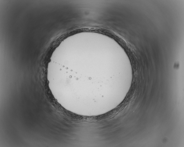 X0000116261447201001110943