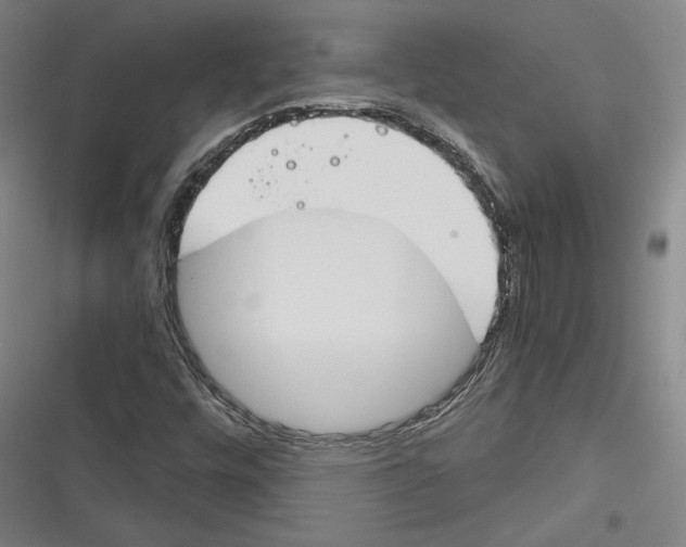 X0000116261448201001110943