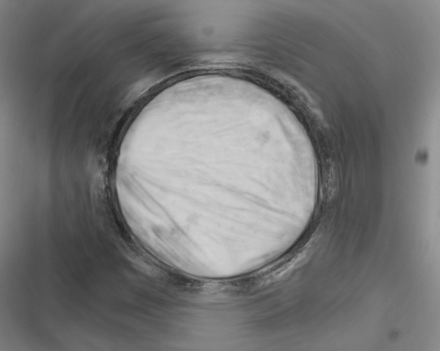 X0000116261449201001110943