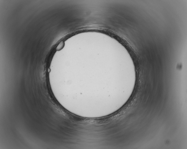 X0000116261450201001110943