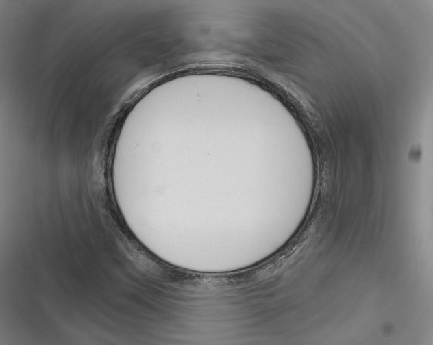 X0000116261451201001110943