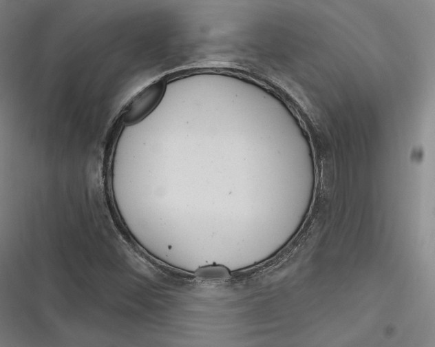 X0000116261452201001110943
