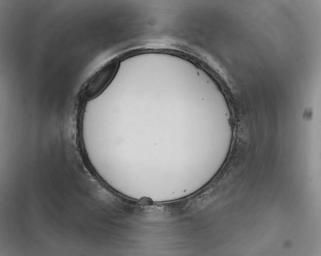 X0000116261456201001110943