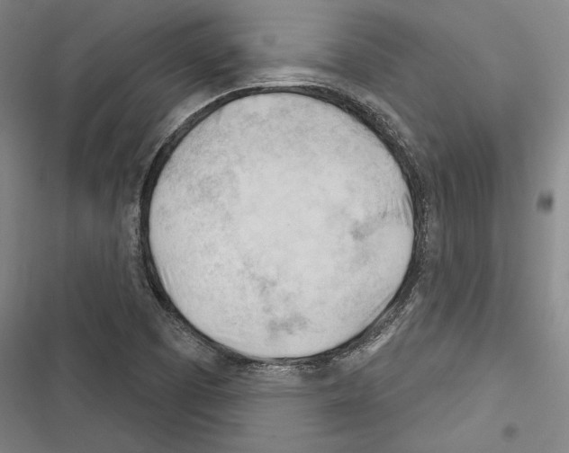 X0000116261457201001110943