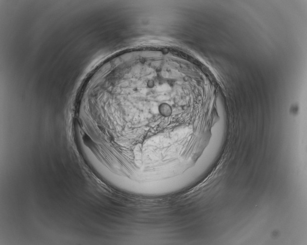 X0000116261459201001110943