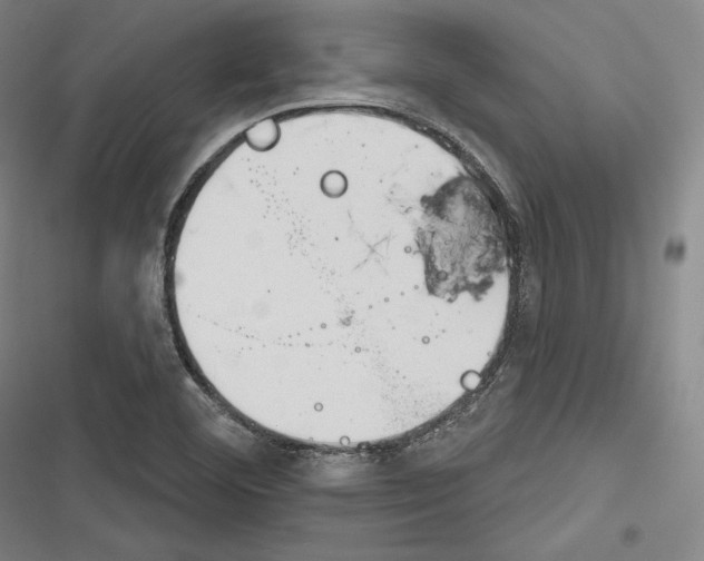X0000116261460201001110943