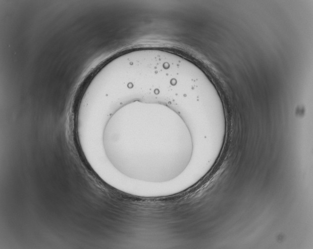 X0000116261461201001110943