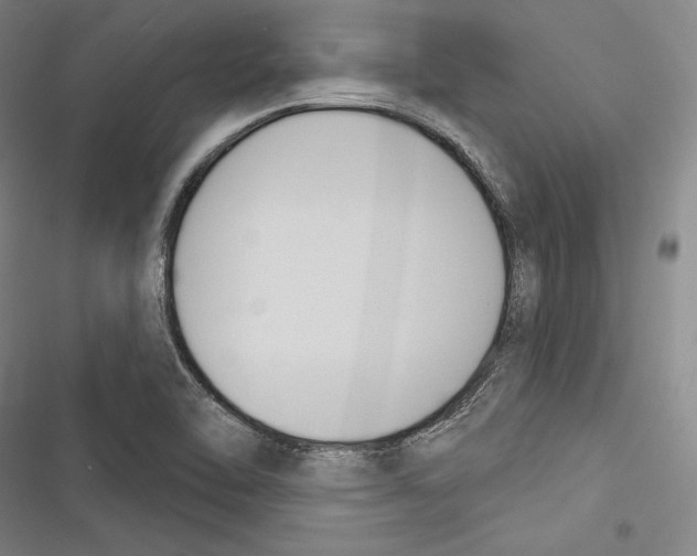 X0000116261462201001110943