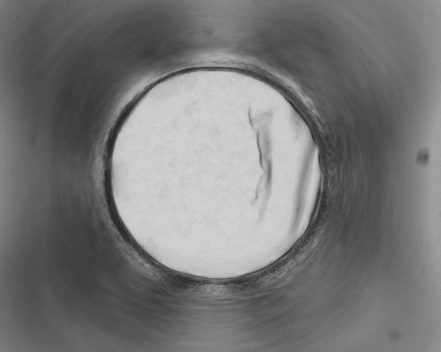 X0000116261463201001110943