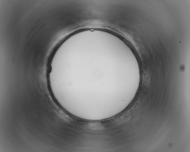X0000116261464201001110943