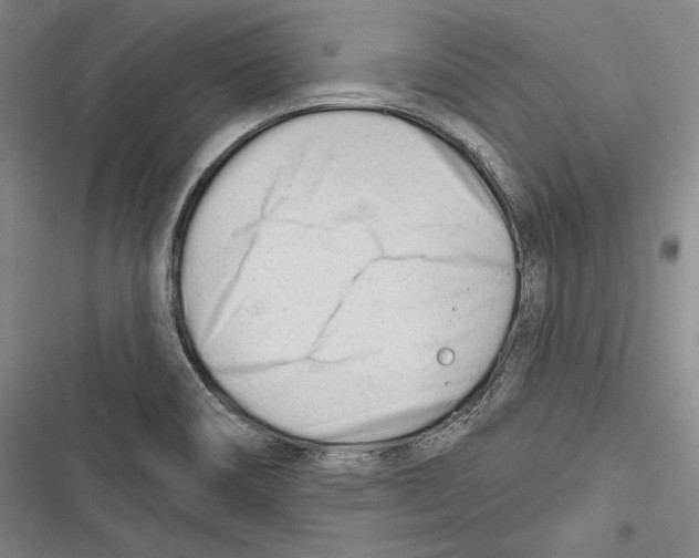 X0000116261466201001110943