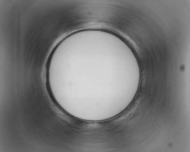 X0000116261467201001110943
