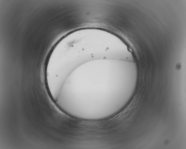 X0000116261468201001110943