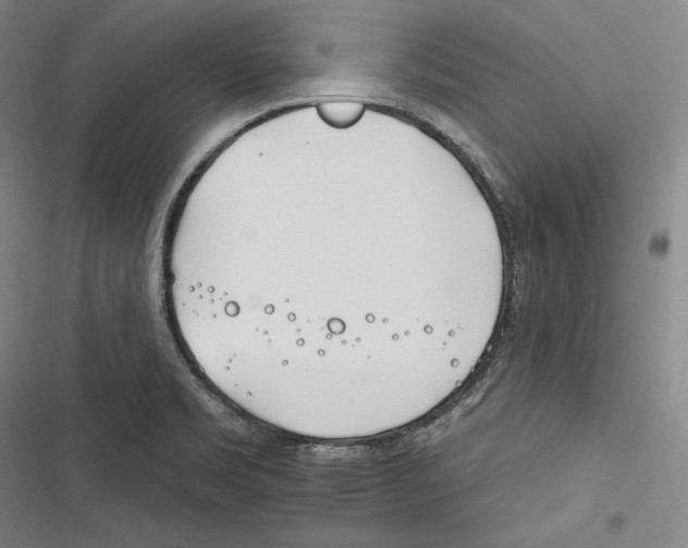 X0000116261469201001110943