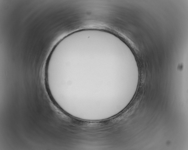 X0000116261471201001110943