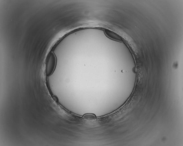 X0000116261472201001110943