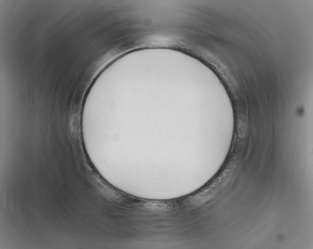 X0000116261473201001110943