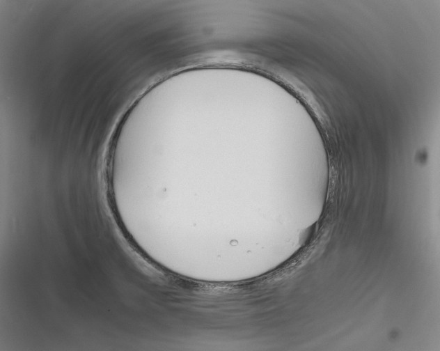X0000116261475201001110943