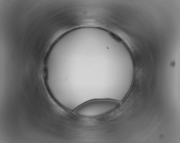 X0000116261476201001110943