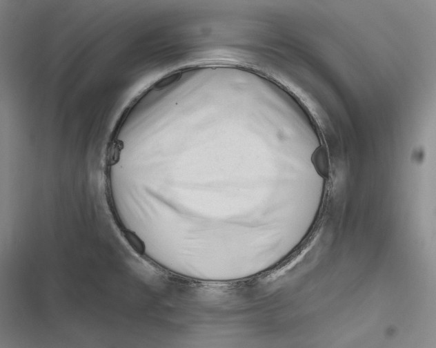 X0000116261477201001110943