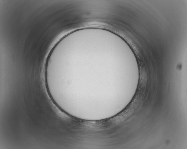 X0000116261478201001110943