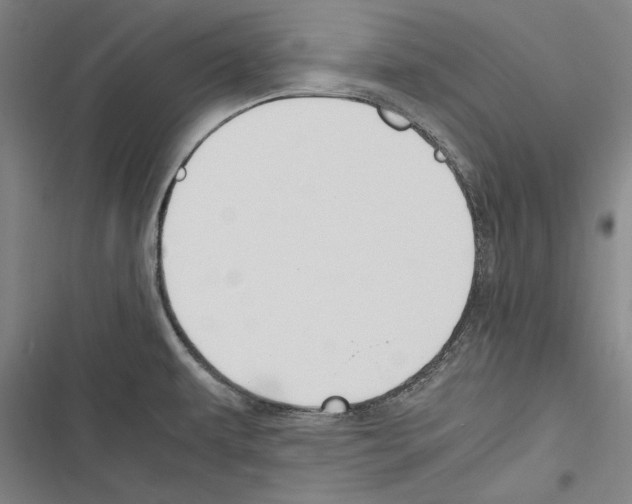 X0000116261479201001110943