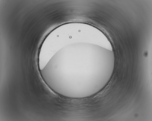 X0000116261480201001110943