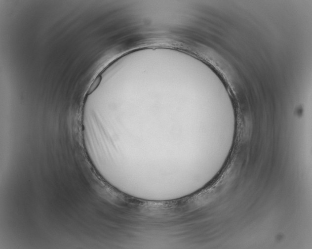 X0000116261481201001110943