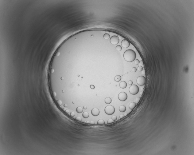 X0000116261483201001110943