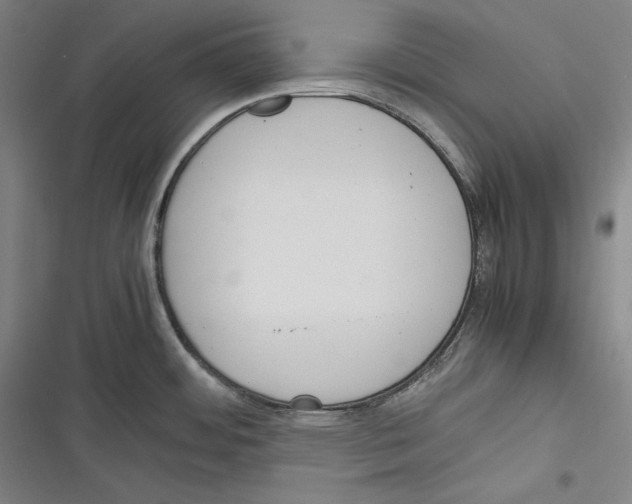 X0000116261484201001110943