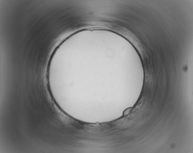 X0000116261485201001110943