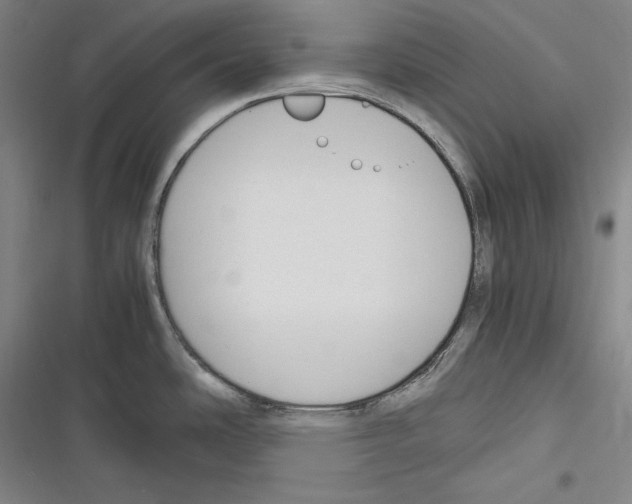 X0000116261486201001110943