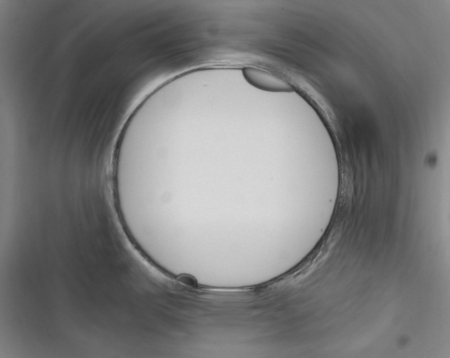 X0000116261487201001110943